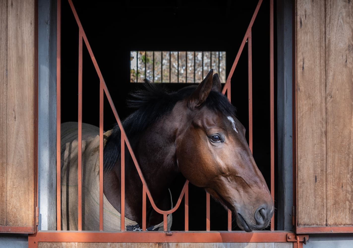 Caballo