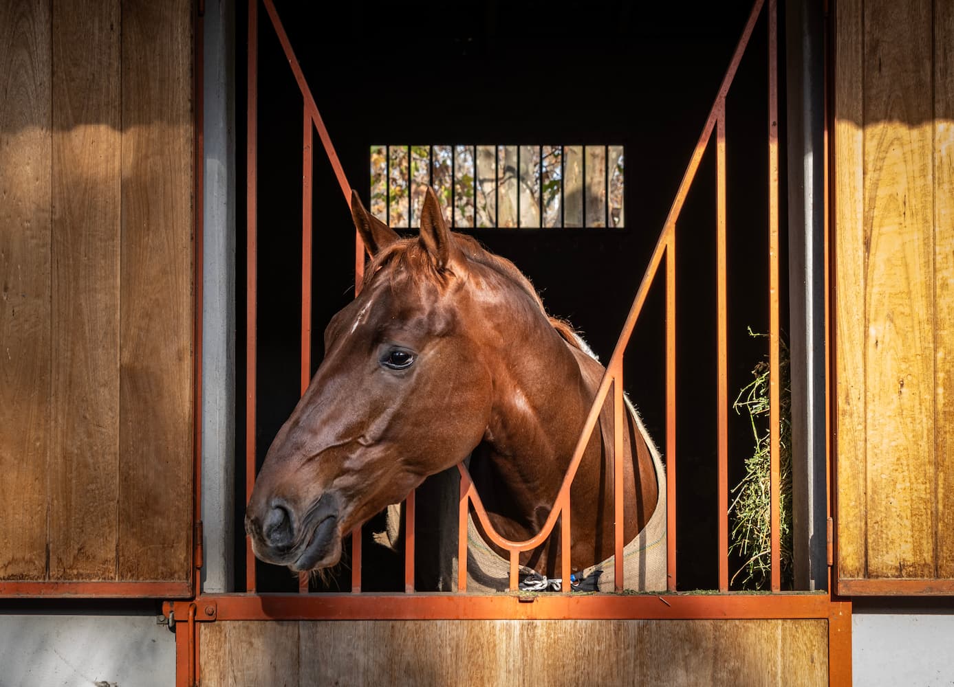 Caballo