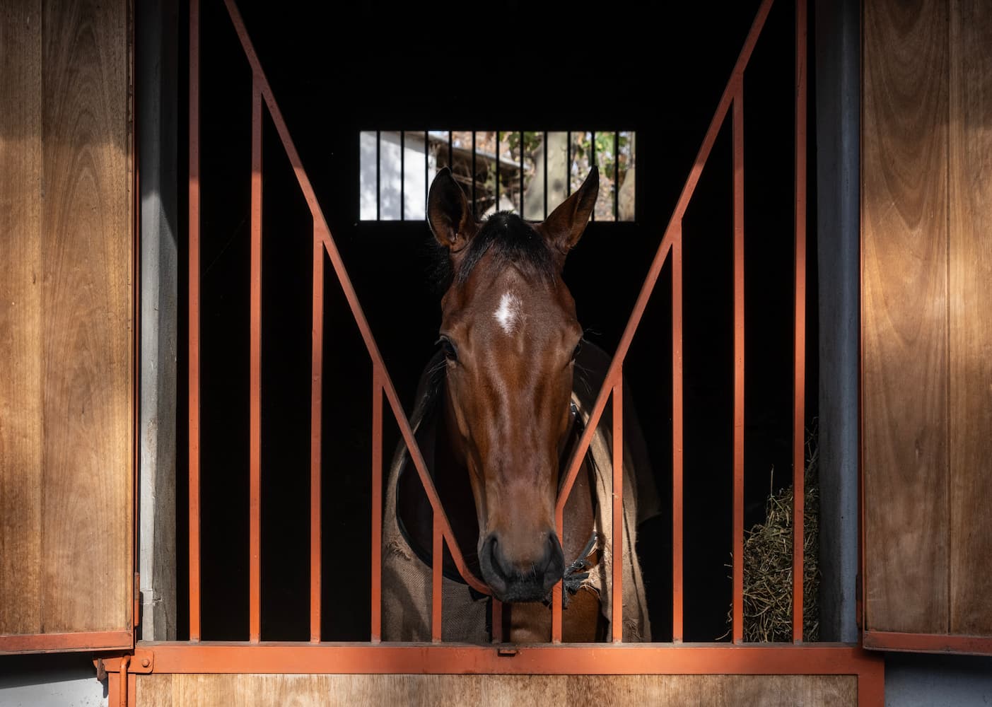 Caballo