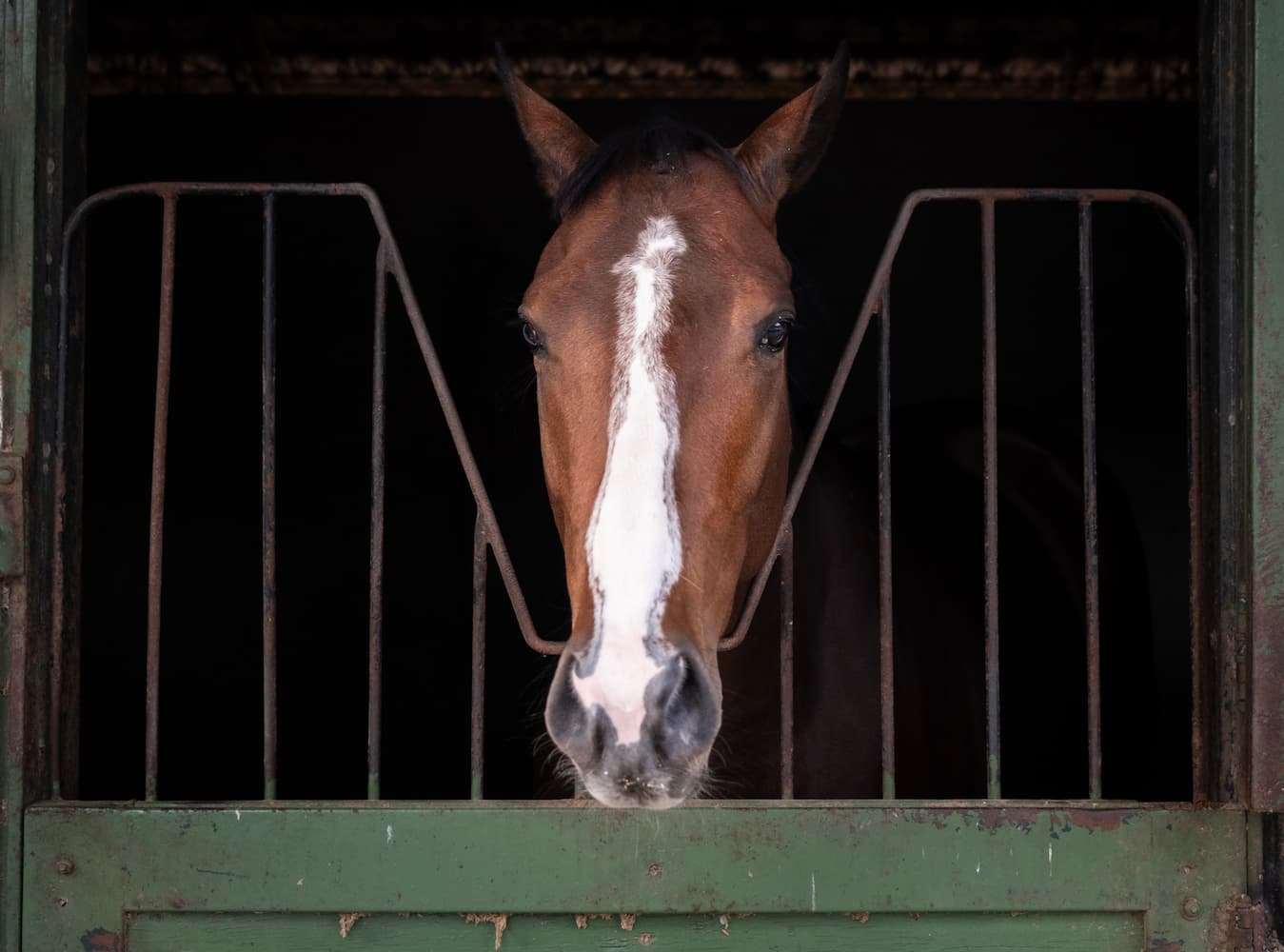 Caballo