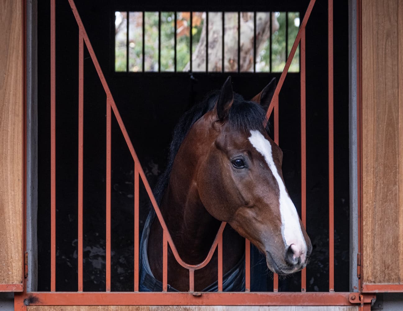 Caballo