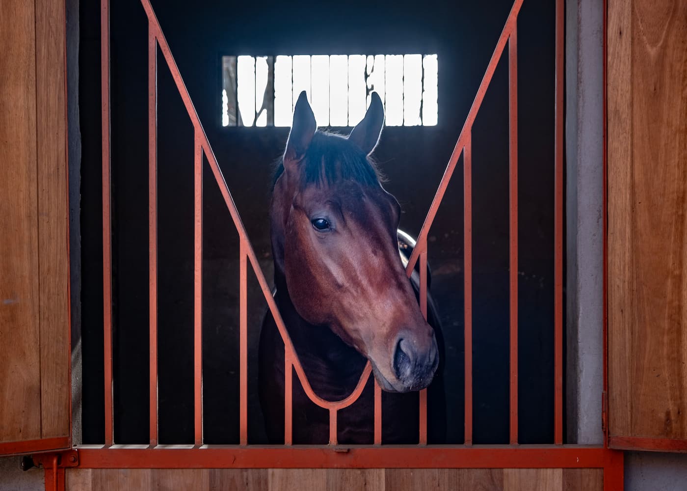 Caballo