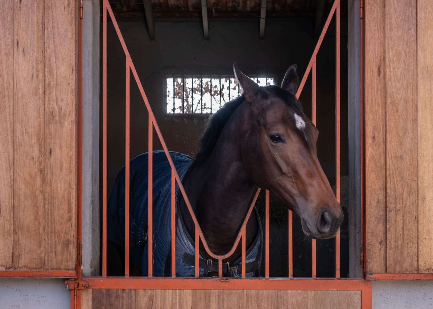 Caballo